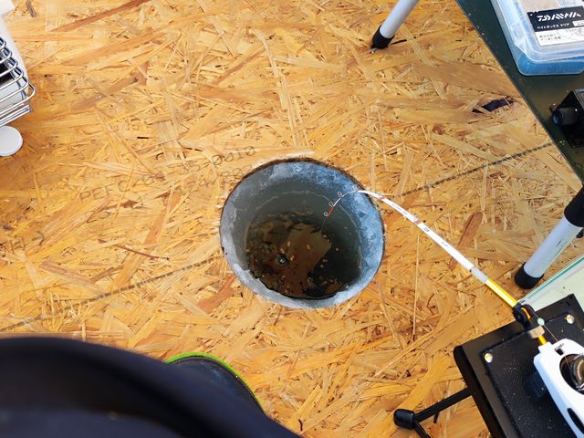 �������[���H�Ŋy�`��_�Ƃꂽ�����ӂ����_��