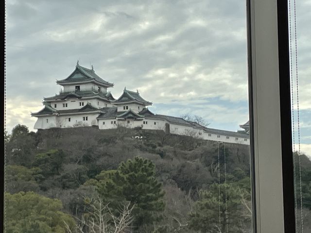 �Ȃ��猩����a�̎R��_�_�C�����C�l�b�g�z�e���a�̎R