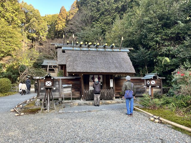 ������_�{