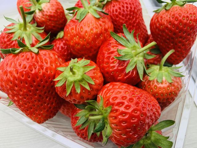 5�����炢�ŁA����Ȃɑ�R�B_���c�������t�@�[��