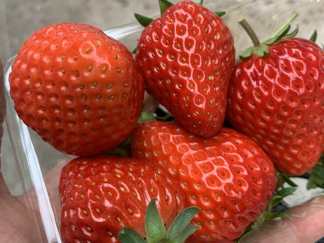 �c���c���ł��B_���c�������t�@�[��