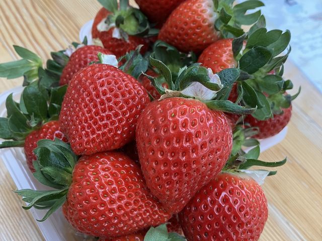 ���܂��_�R���R���������t�@�[��