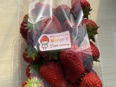 イ񂳂̌ct@[ւ̓eʐ^1