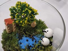 ~bL[pp̈ɐvw߂Ɖւ̓eʐ^1