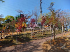 足羽山公園のクチコミ一覧 - じゃらんnet