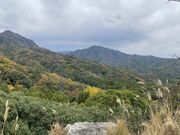 ނ炳񂳂̋瓕Ղ̓eʐ^6