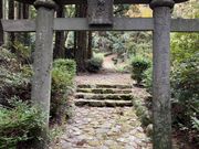 ނ炳񂳂̋瓕Ղ̓eʐ^8