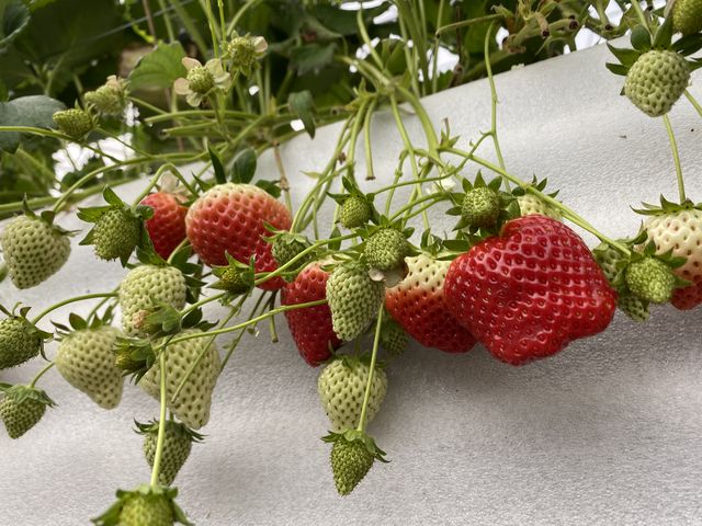 �傫�Ȃ���������_�ԍՂ������̒J