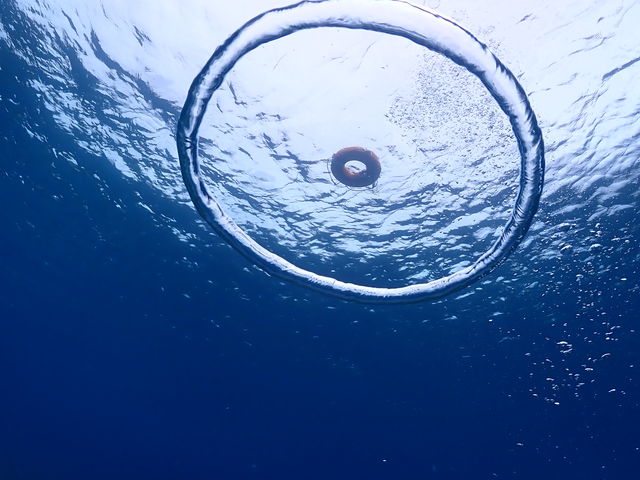 �o�u�����O_�ɗǕ��}�����c�A�[ One By One