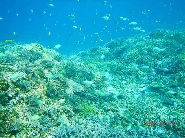 �Q���Ȃ̂ɋC����27�����V�B���r�W�����x�������ō��ɔ�����_�u���[�t�H���X�g�{�Ó�