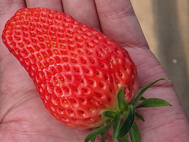 [܂ŐԂĊÂłI
(m悢Ђ߁H)_ےJ_