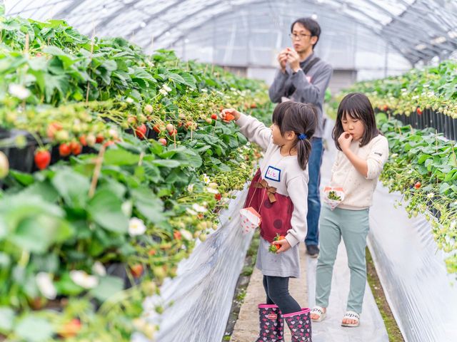 �q���ɂ��Ƃ�₷���āA���̓I�ɕ���ł���̂ŗǂ��ʐ^���B��܂����I_�E�L�E�L����������ό��_��