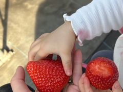 ݂̃gK@XvOt@[@ւ̓eʐ^1