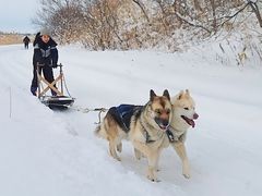 ǕNu@nXL[VFp[h̎ʐ^1