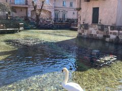 SICILỶ͌ yƐX̔pقւ̓eʐ^1