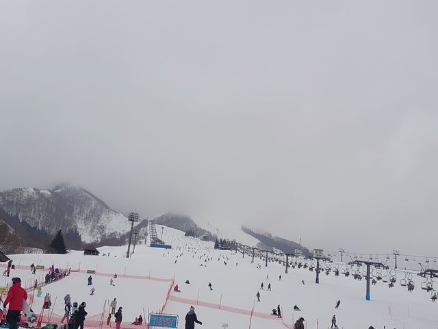 �ǂ����ɂ₩�ȃR�[�X_�⌴