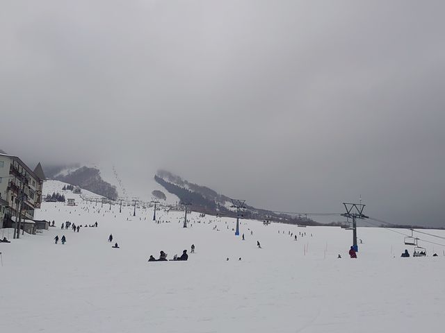 ���n����L���o�[��_�⌴