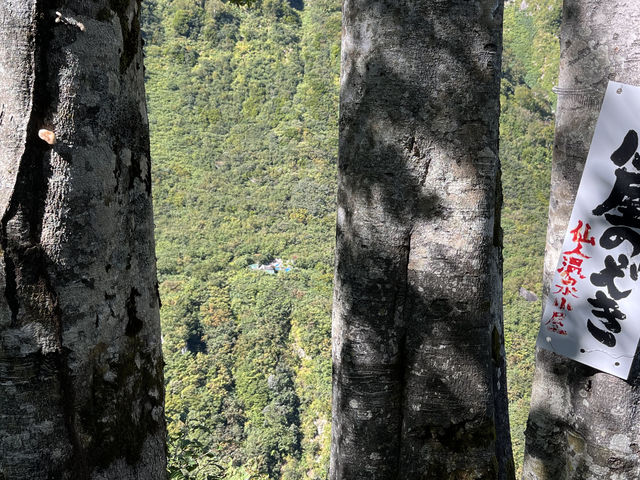 ��l���򏬉�_��l������