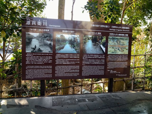 �����q��_�����q��㗬�y�����̓��