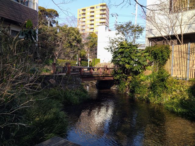 �����q��B�y��������t��_�����q��㗬�y�����̓��