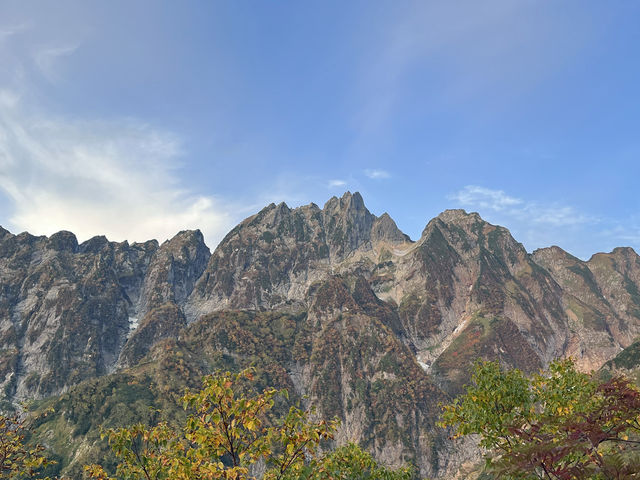 ���x_���x