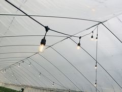 ̃ImEG_`Strawberry Farm gRubyh`ւ̓eʐ^3