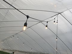 ̃ImEG_`Strawberry Farm gRubyh`ւ̓eʐ^1