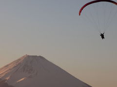 ft̔MCpOC_[ւ̓eʐ^1