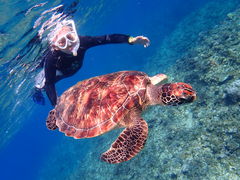 �{�M�[����̐Ί_���}�����T�[�r�X�߂̉��Ԃ��ւ̓��e�ʐ^1