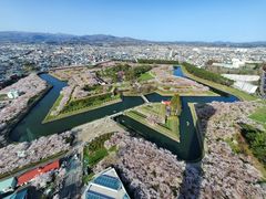 ܂悳̔ق܂邫KChւ̓eʐ^1