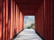 ̗Sא_Љ̉@̓eʐ^5