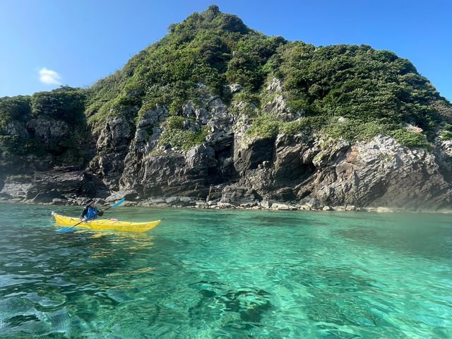 �p�m���}��i_�䂤����