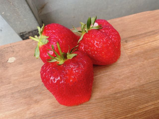 �傫�����̂΂���W�߂ĎB���Ă݂܂����B_�t�̐X �Ȃ��� village