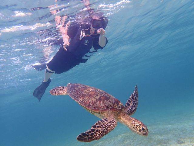 �������߂��ŉj���܂���_���񂴂ɂ{�Ó�