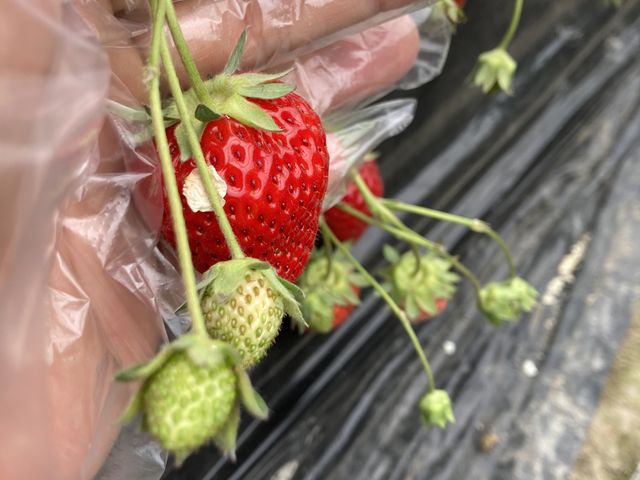 �R���Q�U���K��_�������_���@��t�@�[��