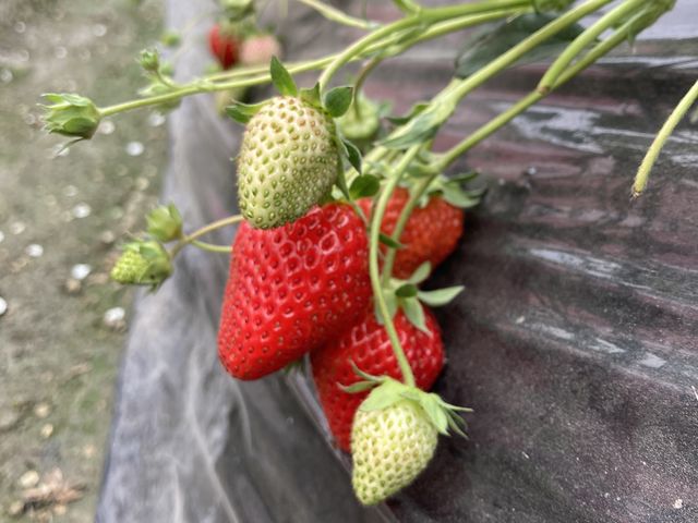 �R���Q�U���K��_�������_���@��t�@�[��