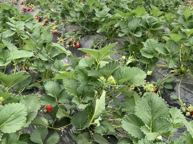 �R���Q�U���K��_�������_���@��t�@�[��