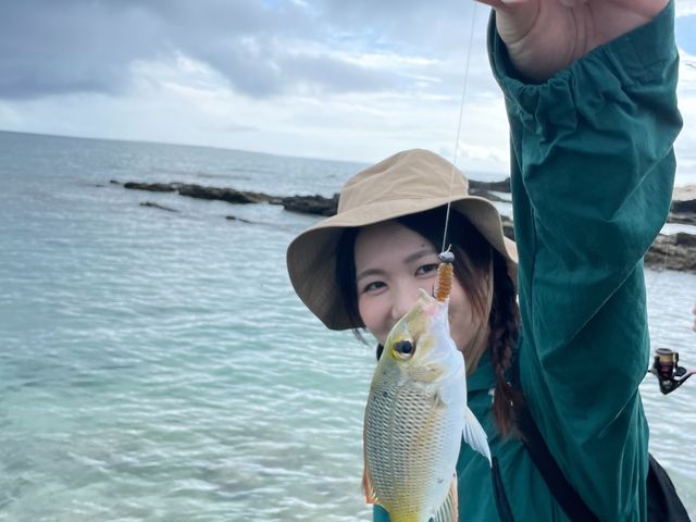 ���߂Ēނꂽ�O�O_DSF�Ί_��