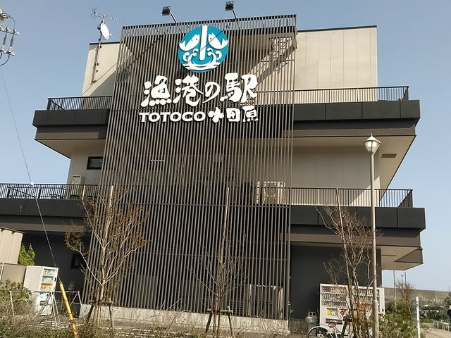 OρBÃoCpX͍~Ȃ̂ŒӁB_`̉w TOTOCOc