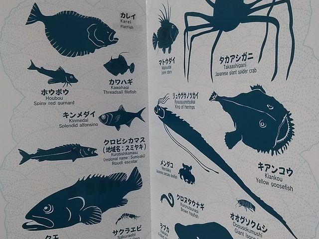 񂳂̋`̉w TOTOCOc̓eʐ^4