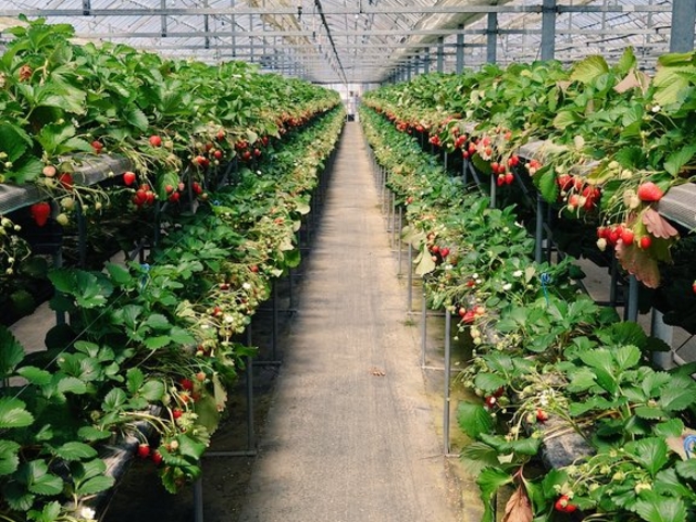 A�n�E�X�ł�����Ɖ��ŕi�킪�Ⴂ�܂�_�G�ߑ̌��_��@�Ԃ̊C