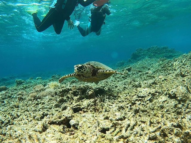 �E�~�K���ƈꏏ�ɎB�e���Ă��������܂����B
�f�G�ȑ̌������肪�Ƃ��������܂����B_���܂݃}�����A�N�e�B�r�e�B-����-