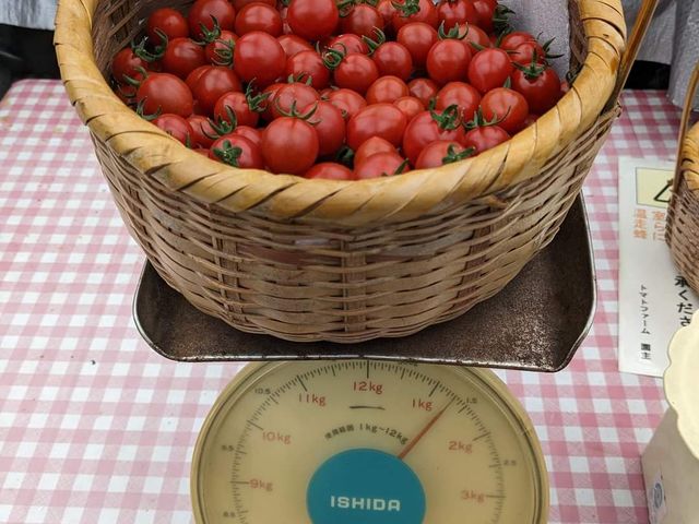 1kgȏ̃g}gl_ό_g}gt@[