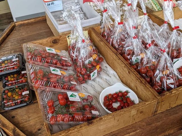 tɔ̔Ăg}g_ό_g}gt@[