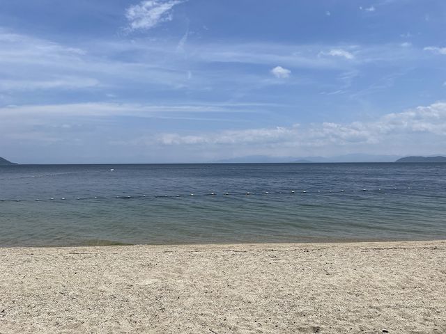 Ɣ̃RgXgy߂܂B_͂̉