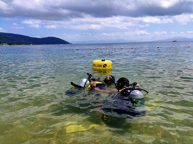 �}���c�[�}���ŁA�w�̗��Ƃ��납��Ȃ̂ň��S�B_�͂������̉�