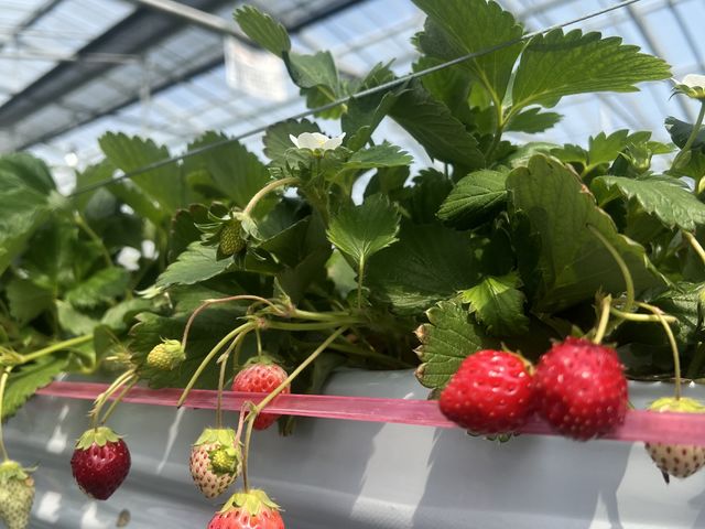 ��x�������́A��������B_���邢������