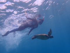 ݂imtida{Óւ̓eʐ^1