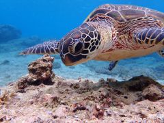 Ȃ񂳂imtida{Óւ̓eʐ^1