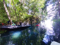 J^Rg̃BgJ̓]ւ̓eʐ^1